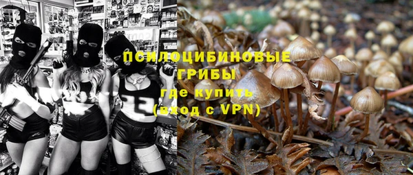 apvp Абдулино