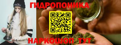 крисы Дубна