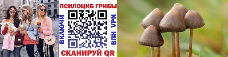 продажа наркотиков Нефтеюганск Псилоцибиновые грибы Psilocybine cubensis