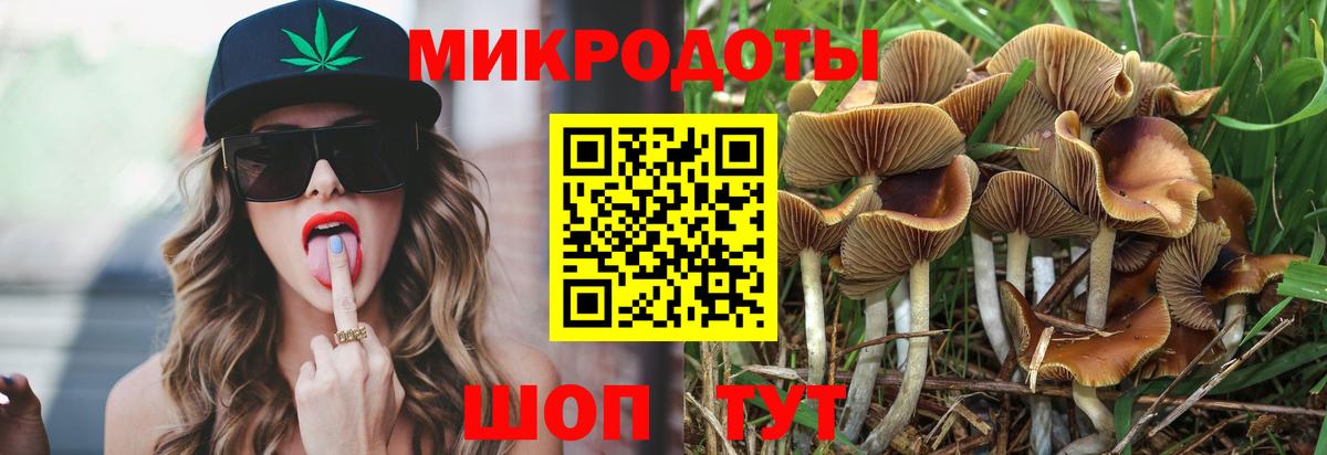 Галлюциногенные грибы мицелий  Псилоцибиновые грибы Cubensis  Нефтеюганск  Вход с VPN 